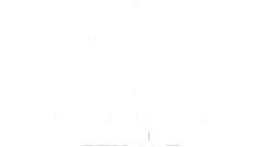 Champions League image in our iptv subscription with VisionTV the Best IPTV Provider